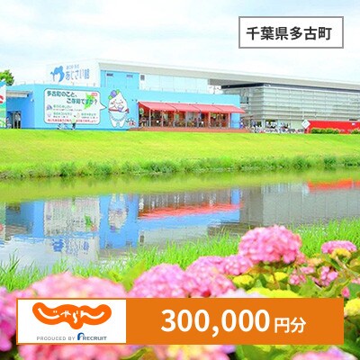 【じゃらんふるさと納税クーポン】 千葉県多古町でつかえる300,000円 クーポン