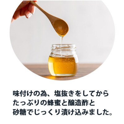南高はちみつ梅干し600gポリ樽入り