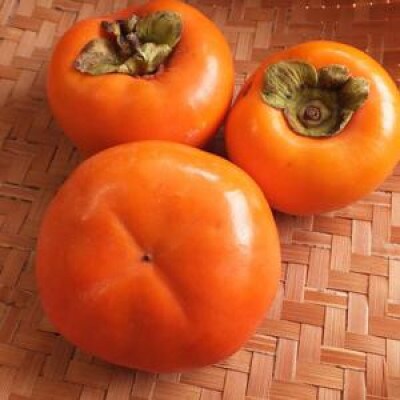 富有柿 【紙箱ギフト】2Lサイズ9個