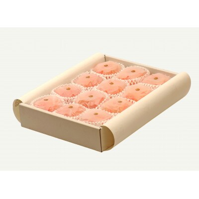 富有柿 【紙箱ギフト】2Lサイズ9個