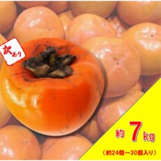 【訳あり品】ご自宅用に 富有柿(約7kg・約24～30個入り)