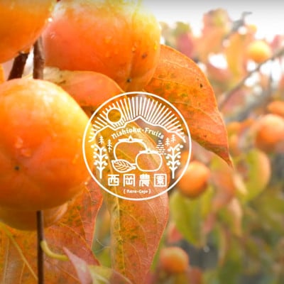 奈良県産　たねなし柿　約3.5kg(約12～15個)