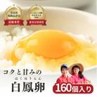 白鳳卵:160個入
