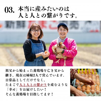 白鳳卵:160個入
