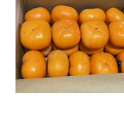 【訳あり】 家庭用　たねなし柿　約7kg(約28～38個)
