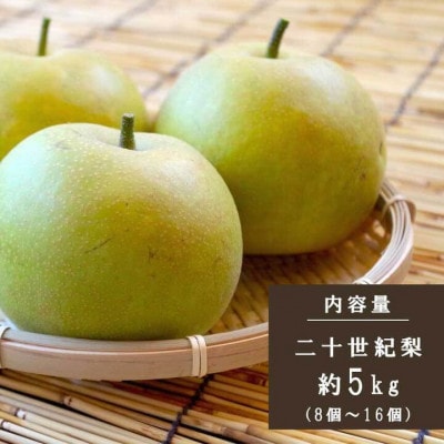 奈良の 二十世紀梨 (約5kg)