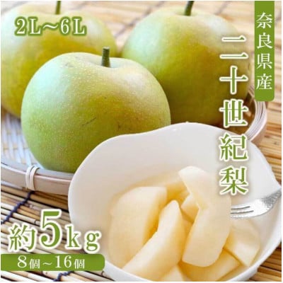 奈良の 二十世紀梨 (約5kg)