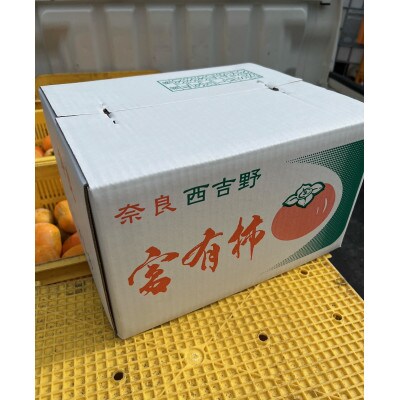 富有柿訳あり10kgサイズおまかせ(36個～42個)