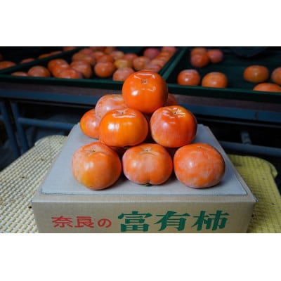 【訳あり】奈良県西吉野の富有柿　約5kg