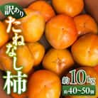 【訳あり】たねなし柿 約10kg (約40～50個)