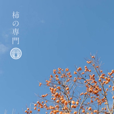 【奈良県五條市】柿バター150g 3本セット【K17】