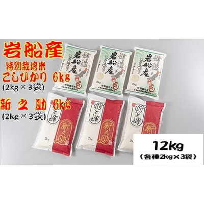 【令和5年産米】新潟県岩船産 新之助・特別栽培米 岩船産コシヒカリセット12kg B4082