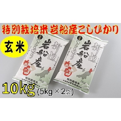 【令和5年産米】特別栽培米 新潟県岩船産コシヒカリ玄米10kg AB4019