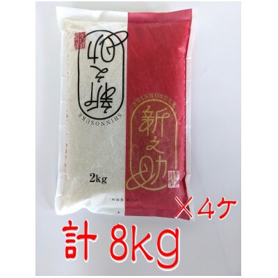 【訳あり】期間限定2kg増量【令和4年産米】新潟県岩船産 新之助 通常6kgから2kg増量 計8kg