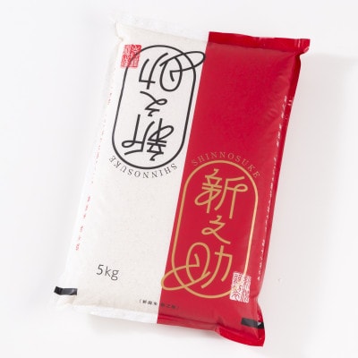 【令和6年産米】岩船産新之助 5kg 1013002