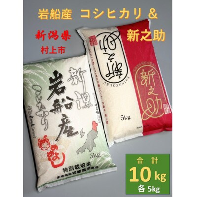 【令和6年産米】新潟県岩船産　新之助5kgと特別栽培米岩船産コシヒカリ5kgセット計10kg