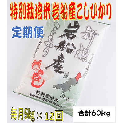 【毎月定期便】特別栽培米岩船産コシヒカリ　5kg　全12回