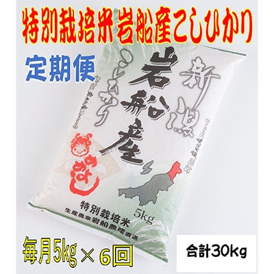 【毎月定期便】特別栽培米岩船産コシヒカリ　5kg　全6回