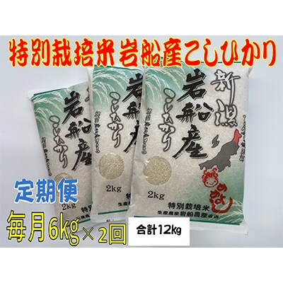 【毎月定期便】特別栽培米新潟県岩船産コシヒカリ6kg(2kg×3袋) 全2回