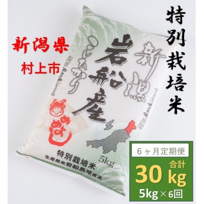 【毎月定期便】特別栽培米  新潟県岩船米コシヒカリ　精米5kg 計30kg　全6回