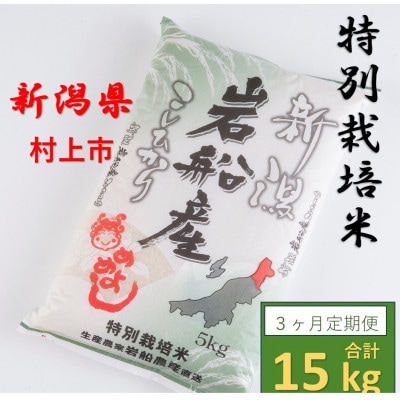 【毎月定期便】特別栽培米  新潟県岩船米コシヒカリ　精米5kg 計15kg　全3回