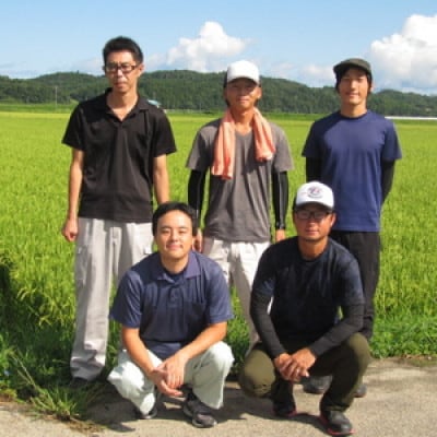 【毎月定期便】特別栽培米  新潟県岩船米コシヒカリ　精米5kg 計15kg　全3回