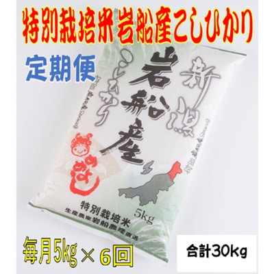 2024年5月発送開始『定期便』特別栽培米新潟県岩船産コシヒカリ　5kg 全6回