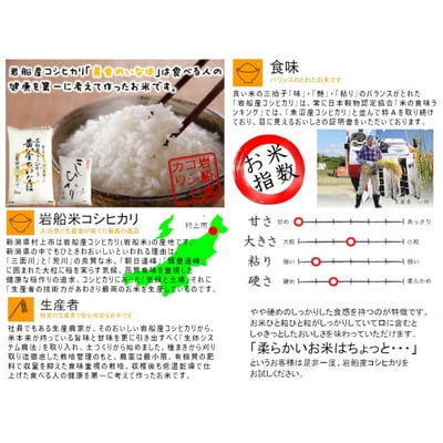 【新米受付・令和7年産米】自然豊かな風土が育んだ新潟岩船産コシヒカリ15kg NC4023