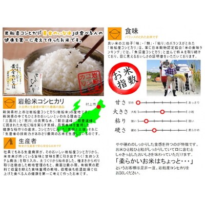 【期間限定・令和6年産米】「〆張もち」と岩船米10kgセット D4020
