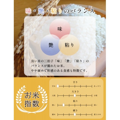 【新米受付・令和8年産精米】新潟県村上市岩船産コシヒカリ2kgと杵つき黄金もち4枚(200g)×5袋