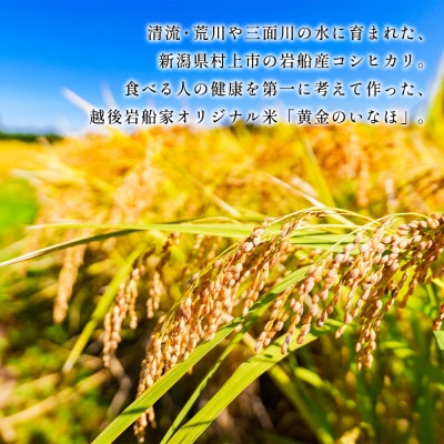 【新米受付・令和8年産精米】新潟県村上市岩船産コシヒカリ5kgと杵つき黄金もち4枚(200g)×8袋