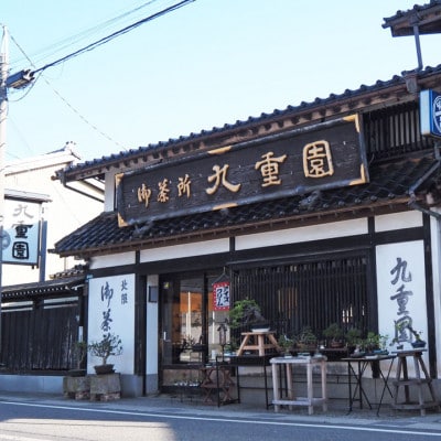九重園の銘茶詰合せ　(舞鶴・特上九重) (ギフト缶・箱)各70g 計2本入 1023003