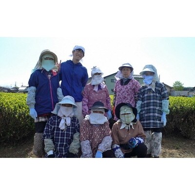 村上銘茶詰め合せC　「一汲」80g×1本　「初摘」80g×2本 計3本セット　1023004