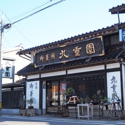 村上銘茶詰め合せC　「一汲」80g×1本　「初摘」80g×2本 計3本セット　1023004
