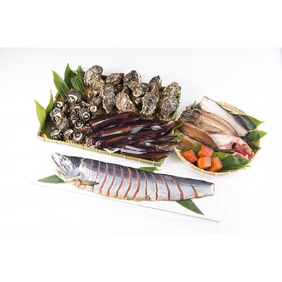 【発送月固定定期便】旬の地魚と手造りおまかせ干物と塩引鮭半身セット 全3回