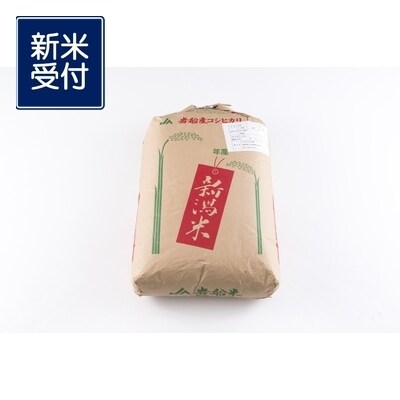 楽天市場】【R6年産】栃木県産 コシヒカリ精米 20kg(5kg×4袋