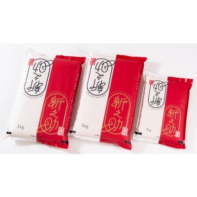 【令和6年産米】村上市産新之助12kg  B4030