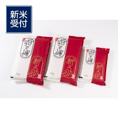 【令和6年産米】村上市産新之助12kg NB4030
