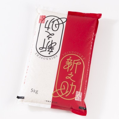 【先行受付・令和6年産米】 村上市産 新之助 5kg 1027009N