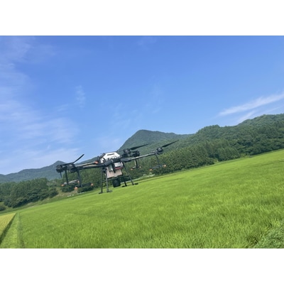 【令和6年産米】 空舞米　新潟県岩船産コシヒカリ精米12kg NB4088