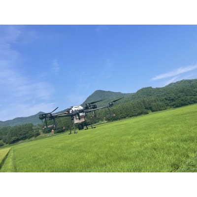 【令和6年産米】空舞米　岩船産 新之助精米 8kg(2kg×4袋) 1063003