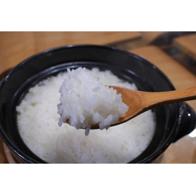 【令和6年産米】空舞米　岩船産 新之助精米 8kg(2kg×4袋) 1063003