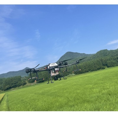 【新米受付・令和7年産米】空舞米　新潟県岩船産コシヒカリ精米12kg 1063001N
