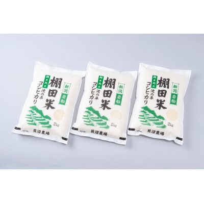 【令和6年産米】新潟県岩船産　棚田米コシヒカリ6kg　A4184