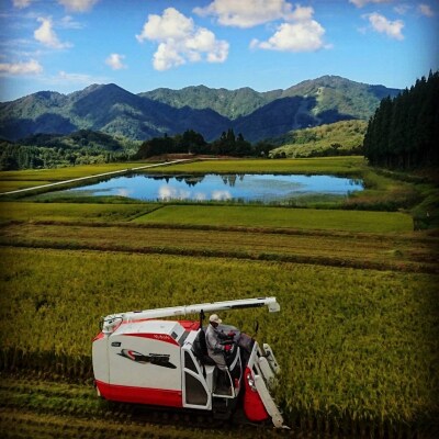 【令和6年産米】新潟県岩船産　棚田米コシヒカリ6kg　A4184