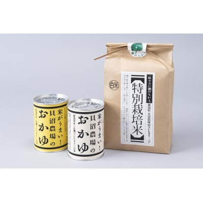 【令和6年度産】新潟県岩船産 特別栽培米コシヒカリ2kgとおかゆ缶詰(2種 2缶)セット A4185