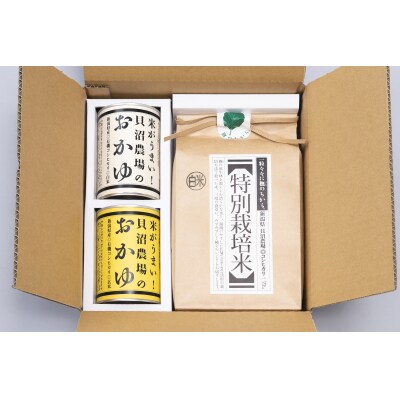 【令和6年度産】新潟県岩船産 特別栽培米コシヒカリ2kgとおかゆ缶詰(2種 2缶)セット A4185