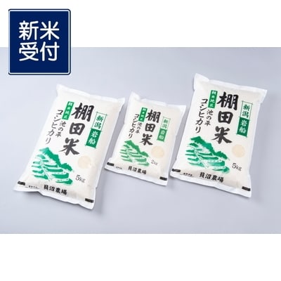 【新米受付・令和7年産米】新潟県岩船産棚田米コシヒカリ12kg NB4107