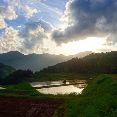 【令和6年産米】 岩船産 【棚田米コシヒカリ】 玄米10kg