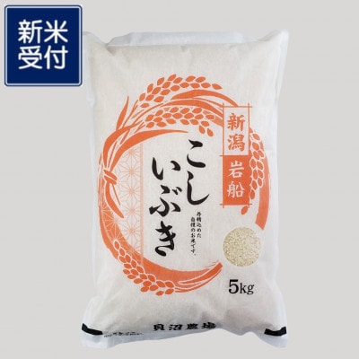 【新米受付・令和7年産米】 こしいぶき 白米5kg(5kg×1袋)新潟県村上市岩船産1067101N